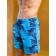 Male ISee shorts, size 50, blue color