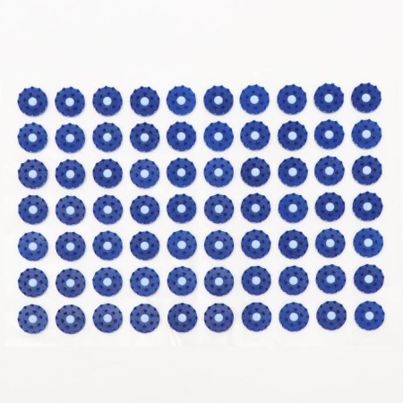 The Kuznetsova applicator, 70 thorns, film, 23 x 32 cm, blue.-1