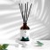 Diffusor aromatic lime and verbena 100 ml (Africa)