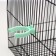 Drill for rodents, 60 ml, transparent with green mount
