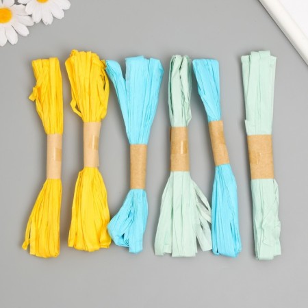 Yarn 100% cellulose "Rafia" set 12 pcs, 10 meters mix 22x14 cm-4