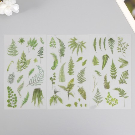 Stickers Plastic "Tropical Leaves" set of 6 sheets 10x18 cm-1