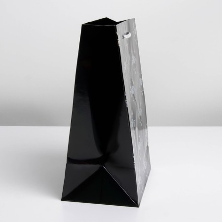 Packet Holography Vertical "New Year", MS 23 x 18 x 10 cm, New Year-3