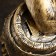 Piggy bank "Boac in a barrel" Black gold, 18x23x20cm