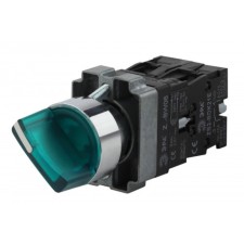 ERA switch BSW90-BK-2-K06E LAY5-BK2365 2 Green Regulations