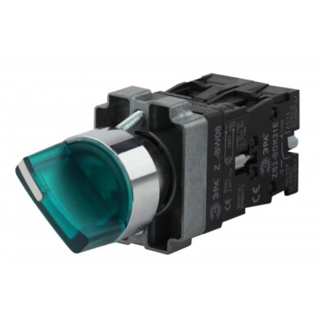 ERA switch BSW90-BK-2-K06E LAY5-BK2365 2 Green Regulations
