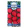 Seeds Radis "Imperial", 2 g n20