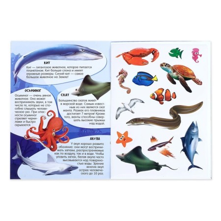Activity a book with stickers and growing toys "Ocean", 12 p.-1