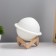 Nightlight "Planet" Led usb white d.13 cm risalux