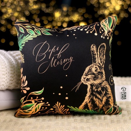 Antistress pillow "Believe in a dream"-1