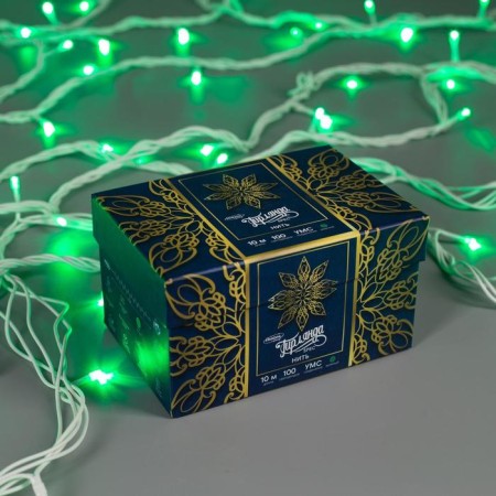 Garland “thread” 10 m, IP44, UMS, white thread, 100 LED, Green glow, 220 V-2