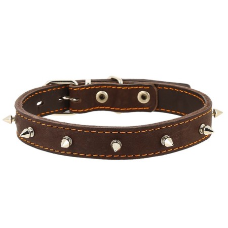 Color Leather two-layer with spikes, Osh 39-46 x 2.5 cm, mix of flowers