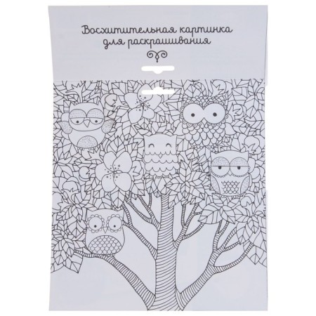 Set for creativity. Fresco sand "Magic Owl"-5