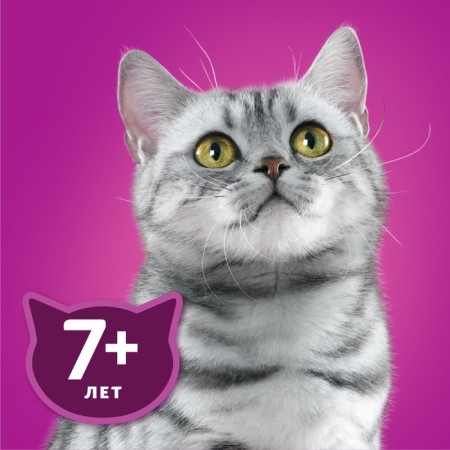 Witching feed Whiskas for cats 7+ stews with chicken, 75 g-8