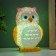 Nightnick "Eagle owl" Led RGB from 3xlr44 mix 6x7x10cm Risalux