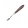 Mastikhin Gamma "Old Master" No. 07, a blade 45 x 17 mm (Italy)