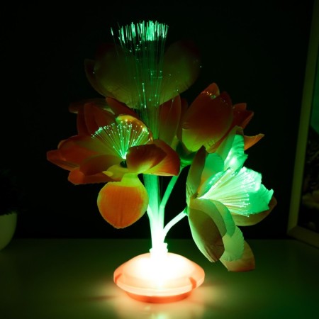 Nightlight "Bright flowers" LED from batteries 3AA H = 22 cm Mix Risalux-4