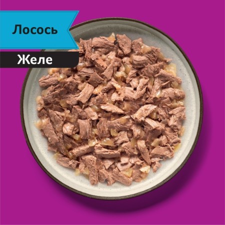 WHENSHING FORM WHISKAS Meaty for cats, salmon, 75 g-9