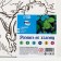Picture on numbers for children "Dinosaur in the jungle", 15 x 15 cm