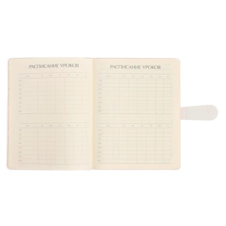Universal diary for grade 1-11, 48 sheets of My Refresh. Strawberries, soft cover with magnetic header-4