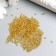 Czech Republic "Preciosa" 5g 10/0 (17020)