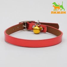 Animal collar