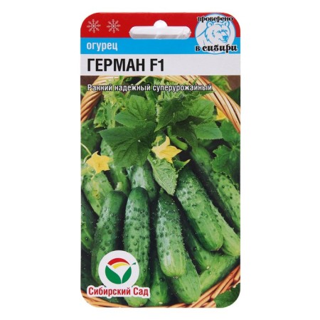 Seeds of cucumber German f1, parthenocarpic, 5 pcs-5