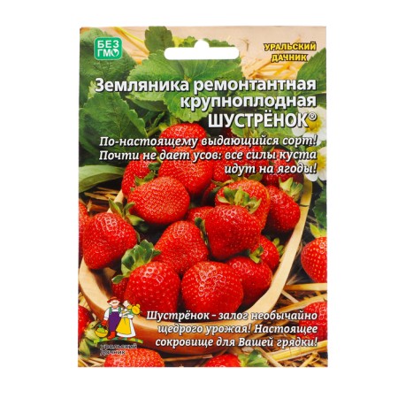 Strawberries "Shustyonok", 10 pcs