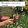 Garden scissors, 8 "(20 cm), with plastic handles, Greengo