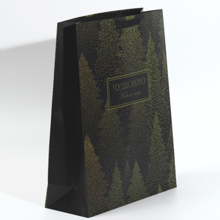 Laminated vertical packet “Wonderful New Year”, l 31 x 40 x 11.5 cm, New Year-1