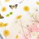 Sticker Plastic Interior color "Field of daisies" Set 2 sheets 30x90 cm