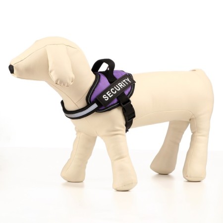 C9 sloping is soft reflective, size XS, OG 38-50 cm, weight 3-6 kg, purple weight-1