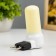 A nightlight with a sensor of darkness "Milsi" LED 1W white-yellow 4x6x10 cm Risalux