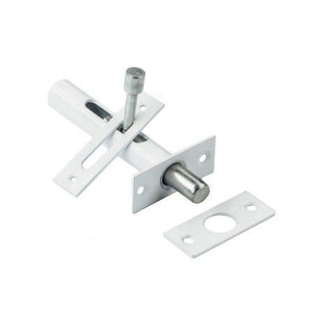 Zasov Kirov Secrets Zd-05 White Sharp (25)