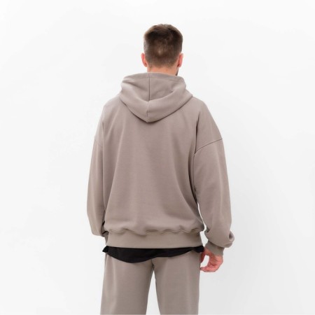 Sweatplane Male (Hoody) Mist Men’s Casual Size 50, gray-beige-5