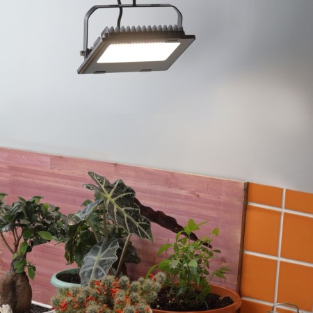 Phytoprotter for plants Fito-50W-RA90--led LED era for flowering and fruiting full-10