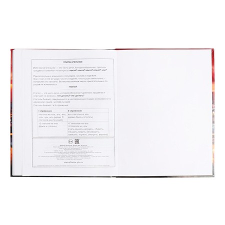 School diary for grades 1-11 Star evening, cover coated cardboard, glossy lamination, foil embossing, universal cheat sheet, 48 sheets, block 65g/m2-12