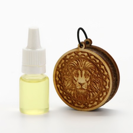 Gift set "Leo", car suspension with impregnation and flavor, 10ml-3