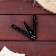 Boat knife "Constellation" 15.7cm, blade 69mm/1 mm