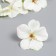 Budon on the leg for decoration "Cherry white-green" d = 4.5 cm