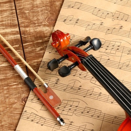 Music Life 3/4 violin, included case and bow-3
