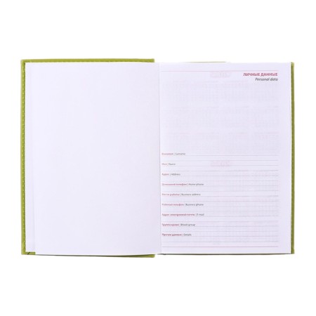 Delivery of a non -stated A5, 160 Vivevella sheets, artificial leather cover, corner perforation, light green-11