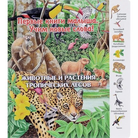 Animals and plants of tropical forests