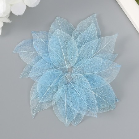 Leaves skeletoned for creativity are "pale blue" set of 20 pcs h = 6-6.5 cm-2