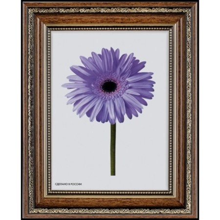 Frame for paintings (mirrors) 40 x 50 x 3.3 cm, plastic, dorothy, brown-2