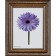 Frame for paintings (mirrors) 40 x 50 x 3.3 cm, plastic, dorothy, brown