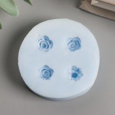 Mold Silicon 