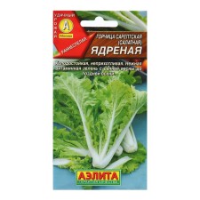 Busting seeds Salad 