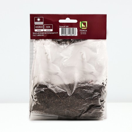 Herana hybrid patricia, rr I, 1 pc, spring 2025-2
