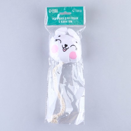 A toy for dogs "Bunny", with a rope-6